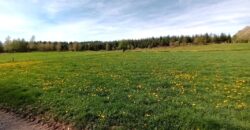 Très beau terrain à bâtir de plus de 2000m²