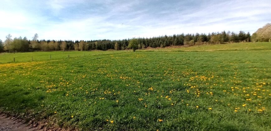 Très beau terrain à bâtir de plus de 2000m²
