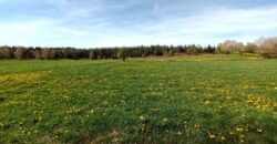 Très beau terrain à bâtir de plus de 2000m²