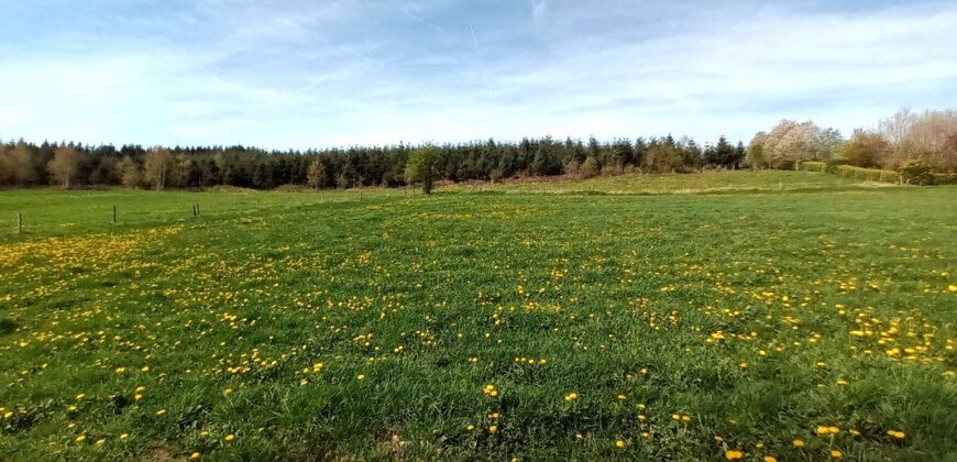 Très beau terrain à bâtir de plus de 2000m²