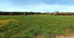 Très beau terrain à bâtir de plus de 2000m²