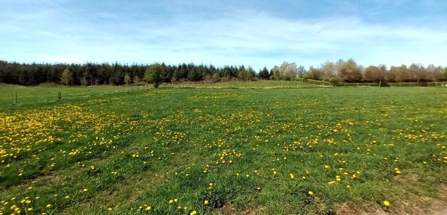 Très beau terrain à bâtir de plus de 2000m²