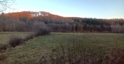 Parcelle agricole de 16.000m²