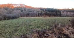 Parcelle agricole de 16.000m²