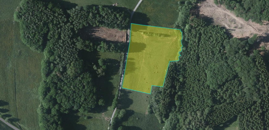 Parcelle agricole de 16.000m²