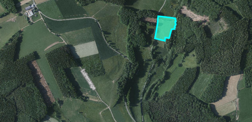Parcelle agricole de 16.000m²
