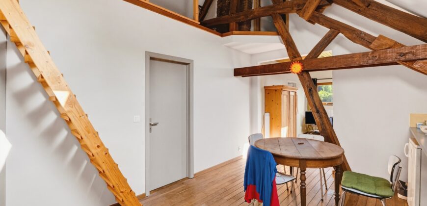 Propriété d&rsquo;exception sur une parcelle de plus de 3.600m²