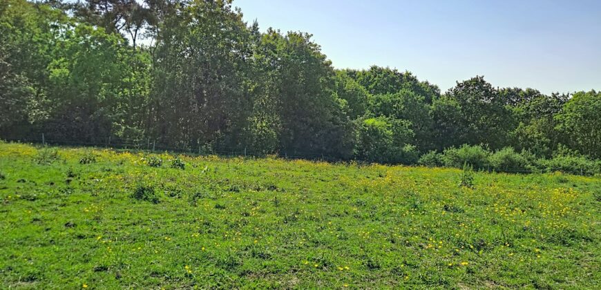 Superbe prairie composée de 4 boxs idéale pour les amateurs de chevaux