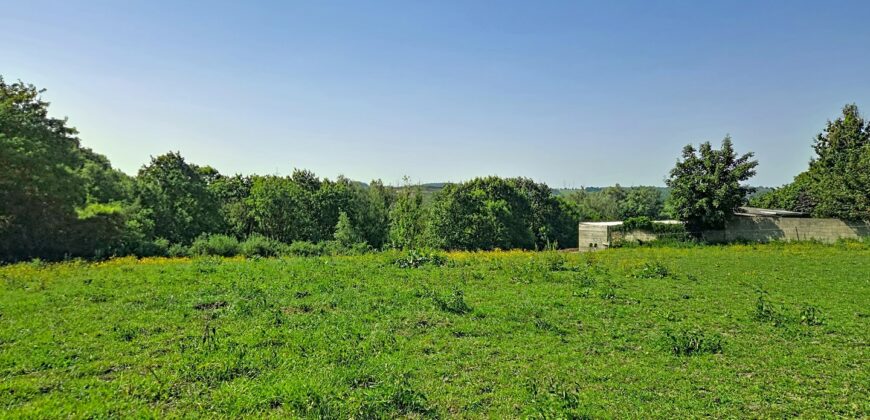 Superbe prairie composée de 4 boxs idéale pour les amateurs de chevaux