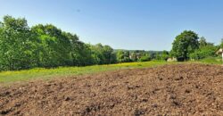 Superbe prairie composée de 4 boxs idéale pour les amateurs de chevaux