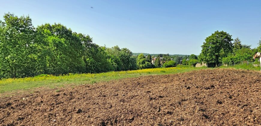 Superbe prairie composée de 4 boxs idéale pour les amateurs de chevaux