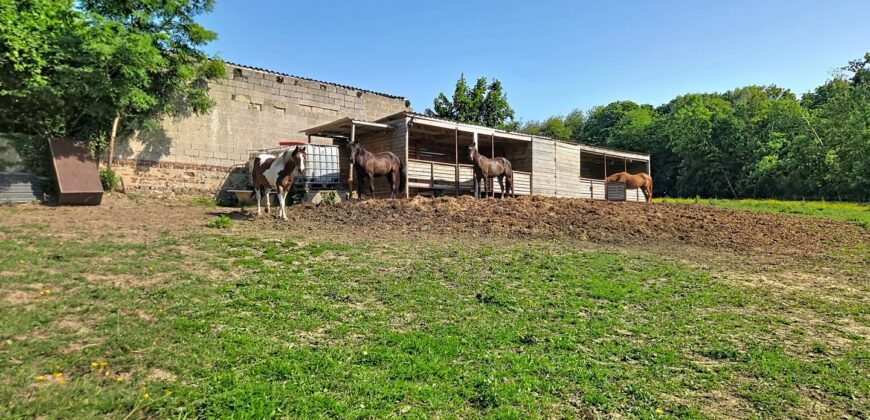 Superbe prairie composée de 4 boxs idéale pour les amateurs de chevaux