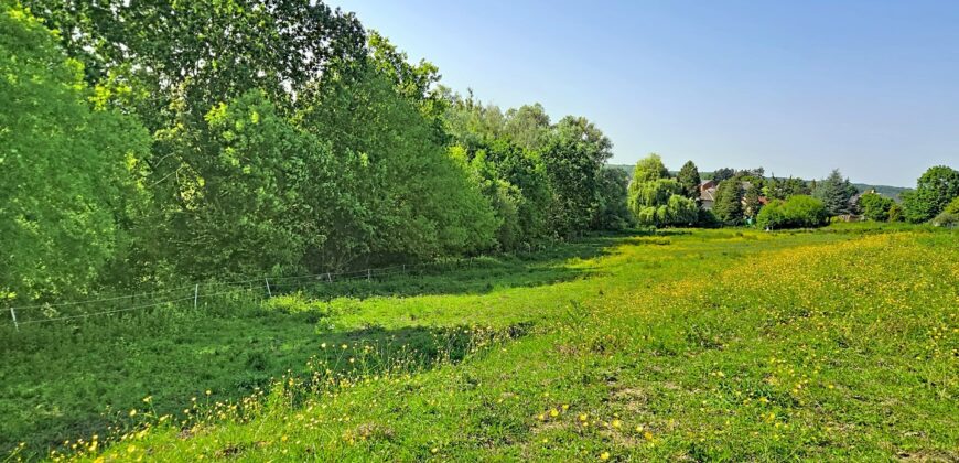 Superbe prairie composée de 4 boxs idéale pour les amateurs de chevaux
