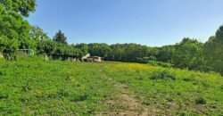 Superbe prairie composée de 4 boxs idéale pour les amateurs de chevaux