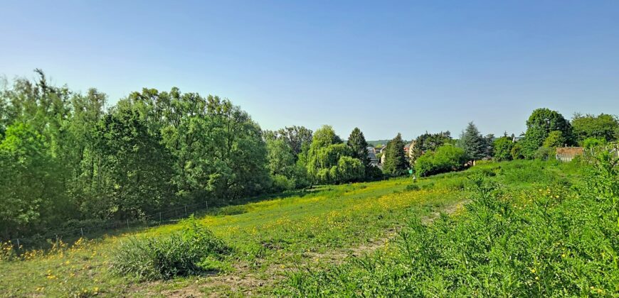 Superbe prairie composée de 4 boxs idéale pour les amateurs de chevaux